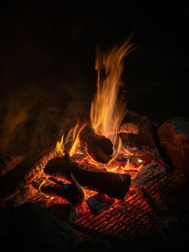 Survival skills