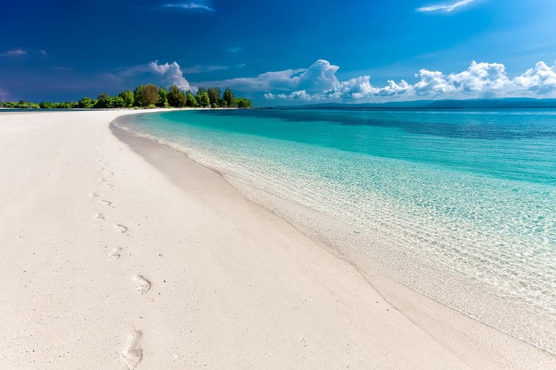 Beach Travel Vacation
