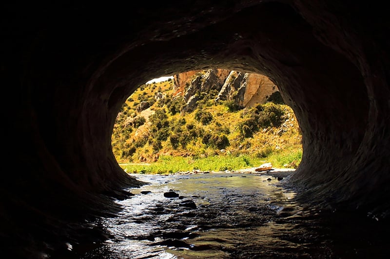 Glowworm Caves, New Zealand